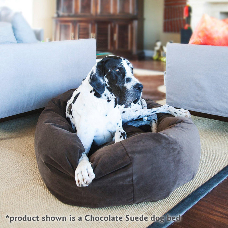 Wayfair Canada Online Home Store for Furniture Decor Outdoors More